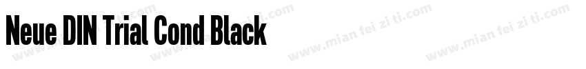 Neue DIN Trial Cond Black字体转换
